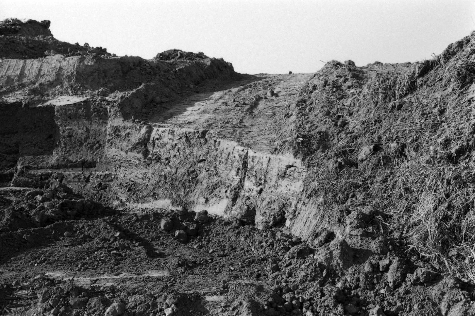 Canon EOS 620とEF 50mm F1.8 IIの作例