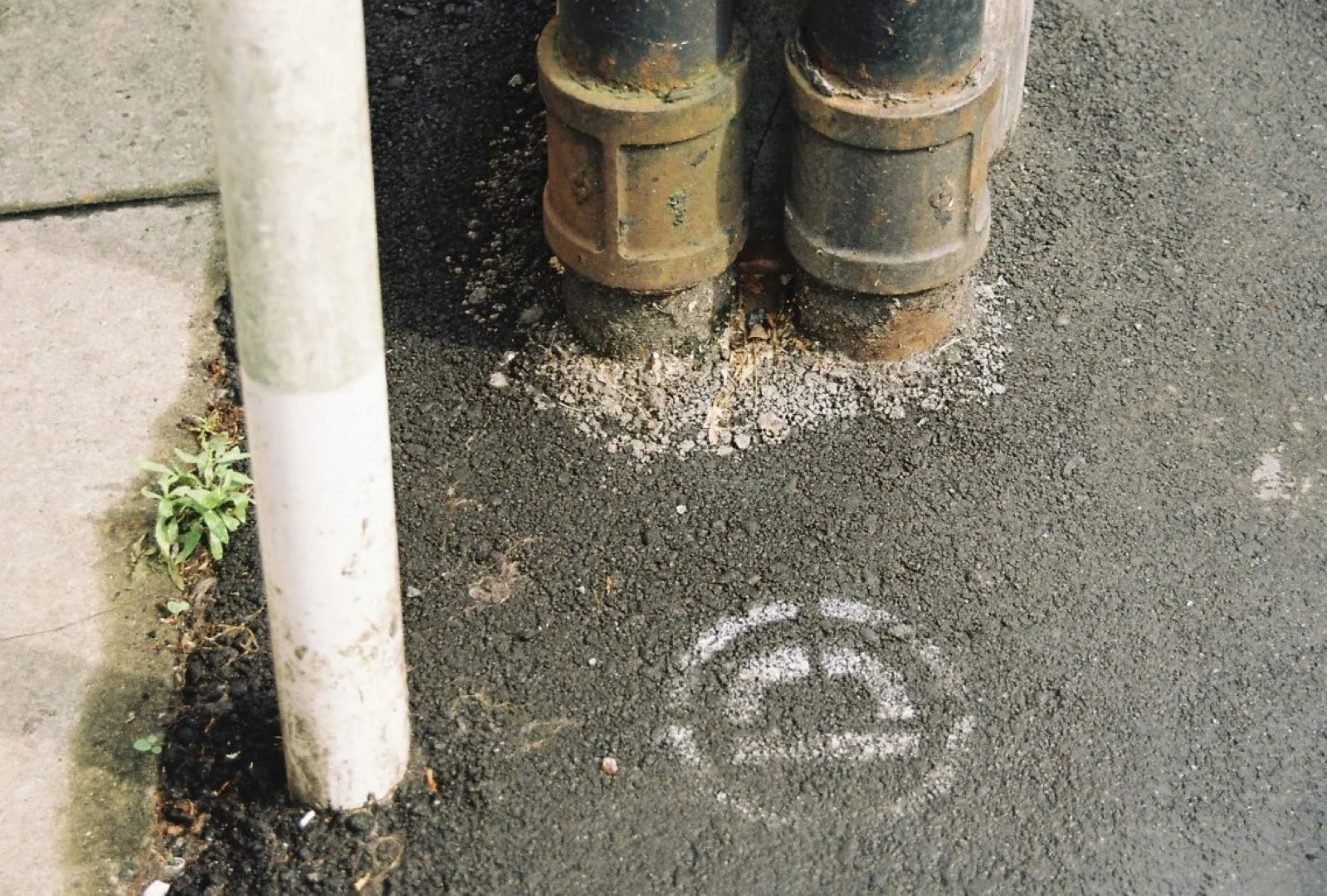 EOS Kiss IIIで撮った写真