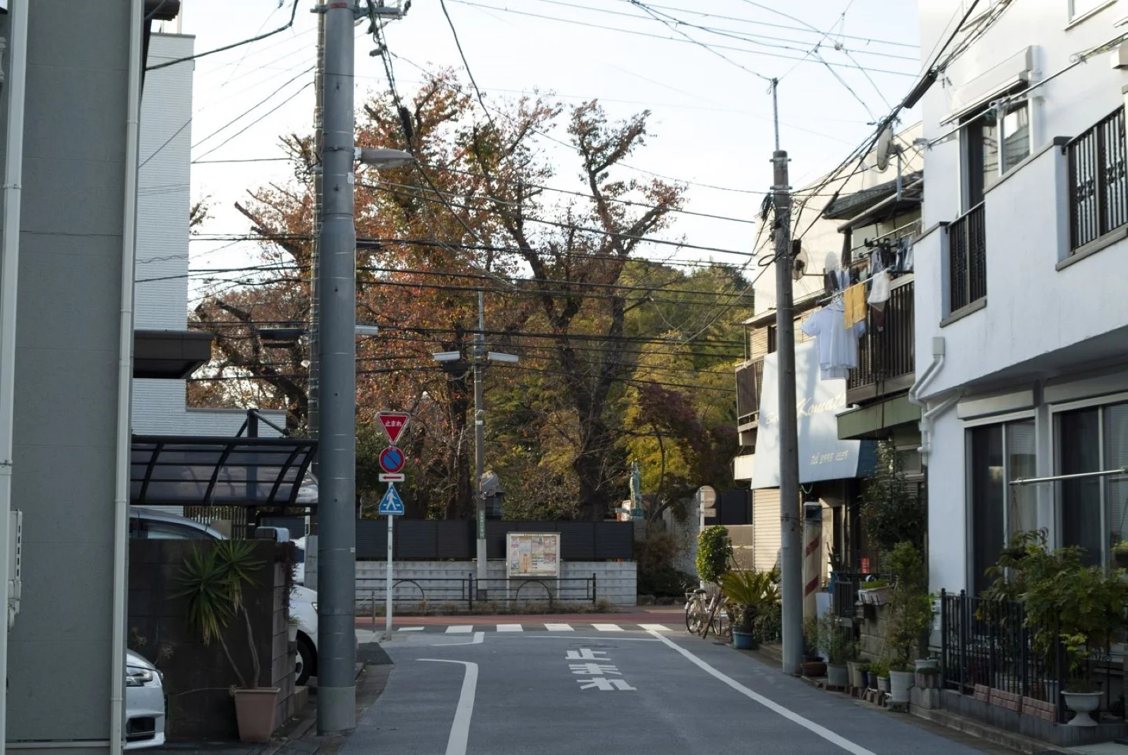 Fine Pix S2 Proの作例 RAW・617万画素で撮影