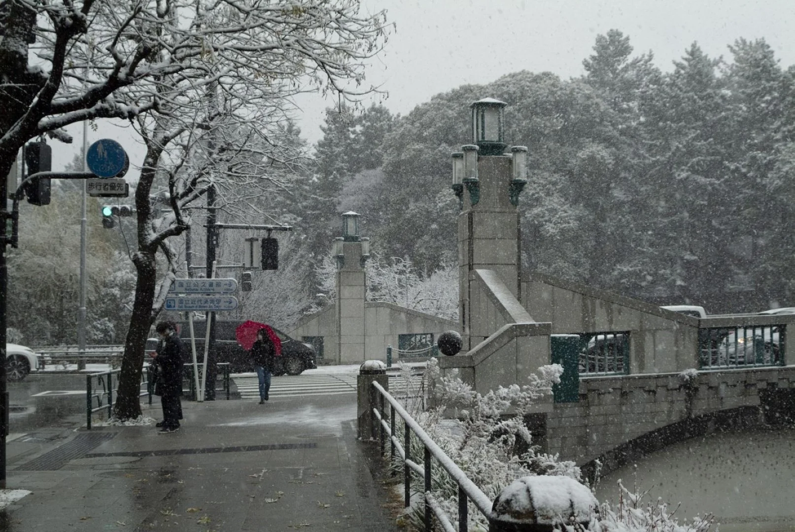 Fine Pix S2 Proの作例 RAW・617万画素で撮影