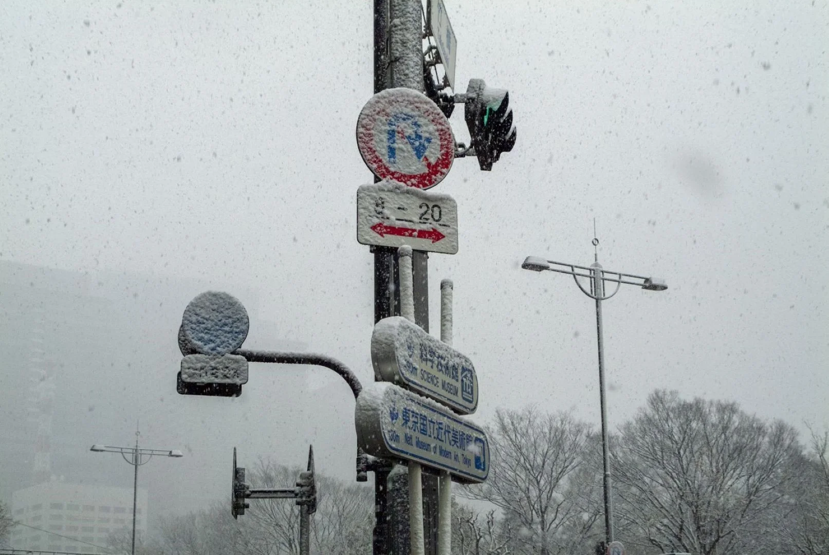 Fine Pix S2 Proの作例 RAW・617万画素で撮影