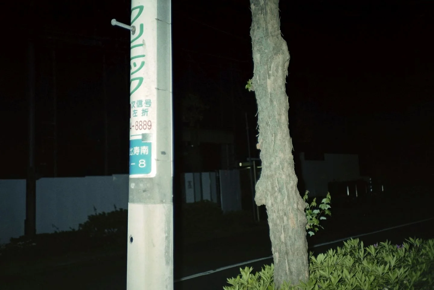 フラッシュフジカデートで撮った写真