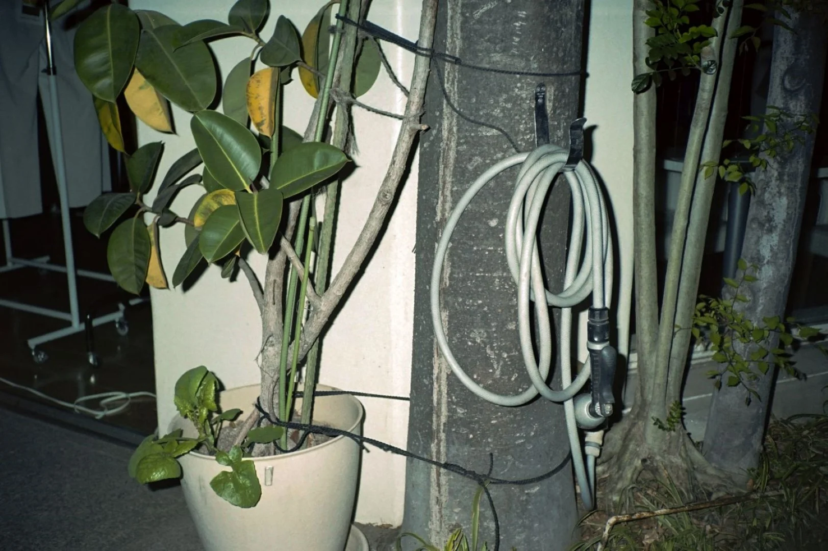 フラッシュフジカデートで撮った写真