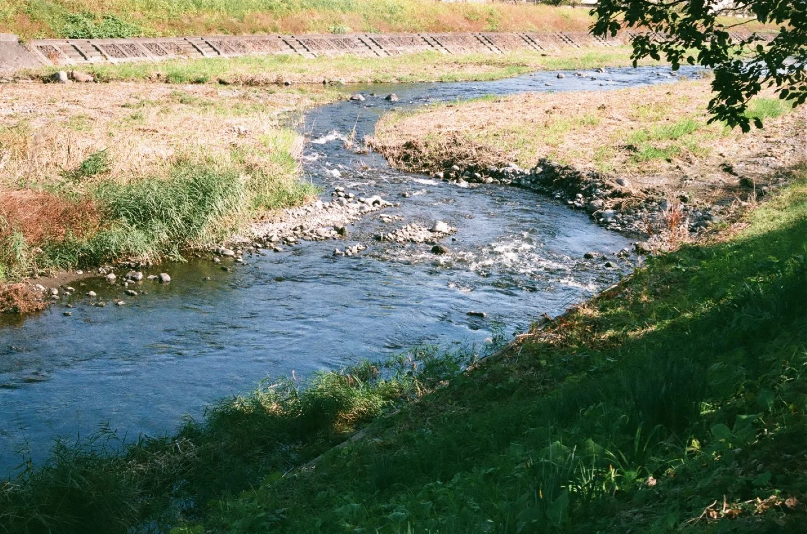 FUJIFILM C200で撮影