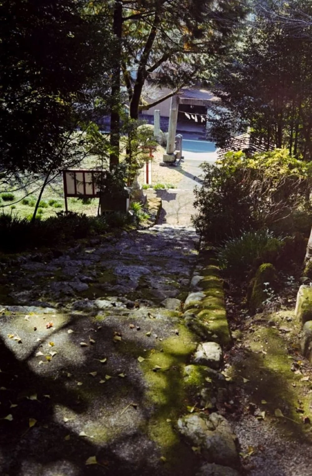 上海申光400 比較