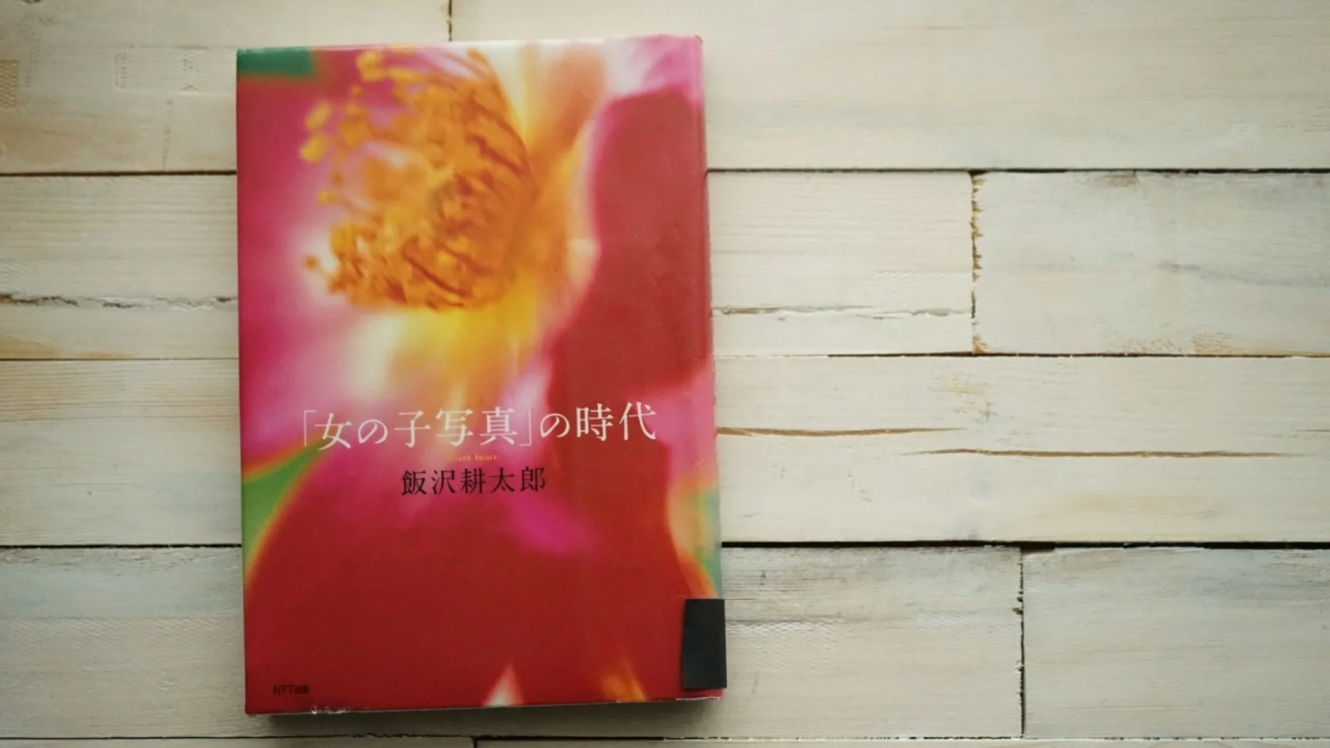 飯沢耕太郎『「女の子写真」の時代』