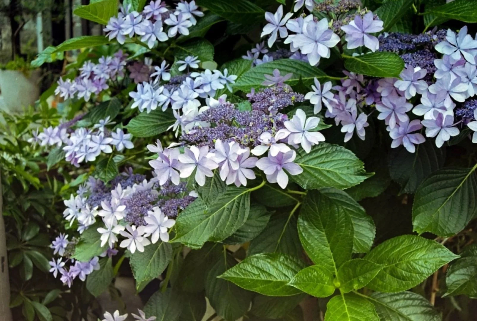 自分でスキャン