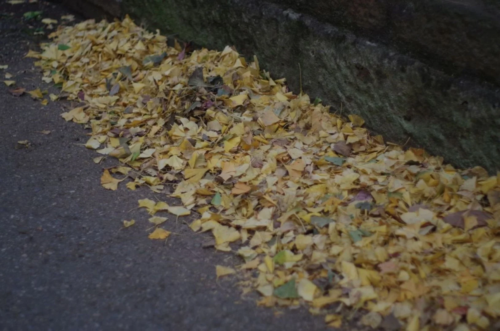 デジタル（APS-C）作例（K30）