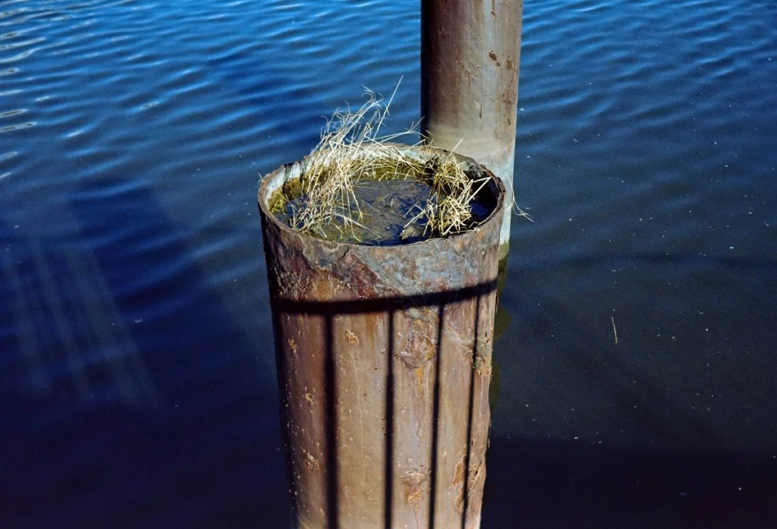 KOBICA 35 BC-1で撮影した写真