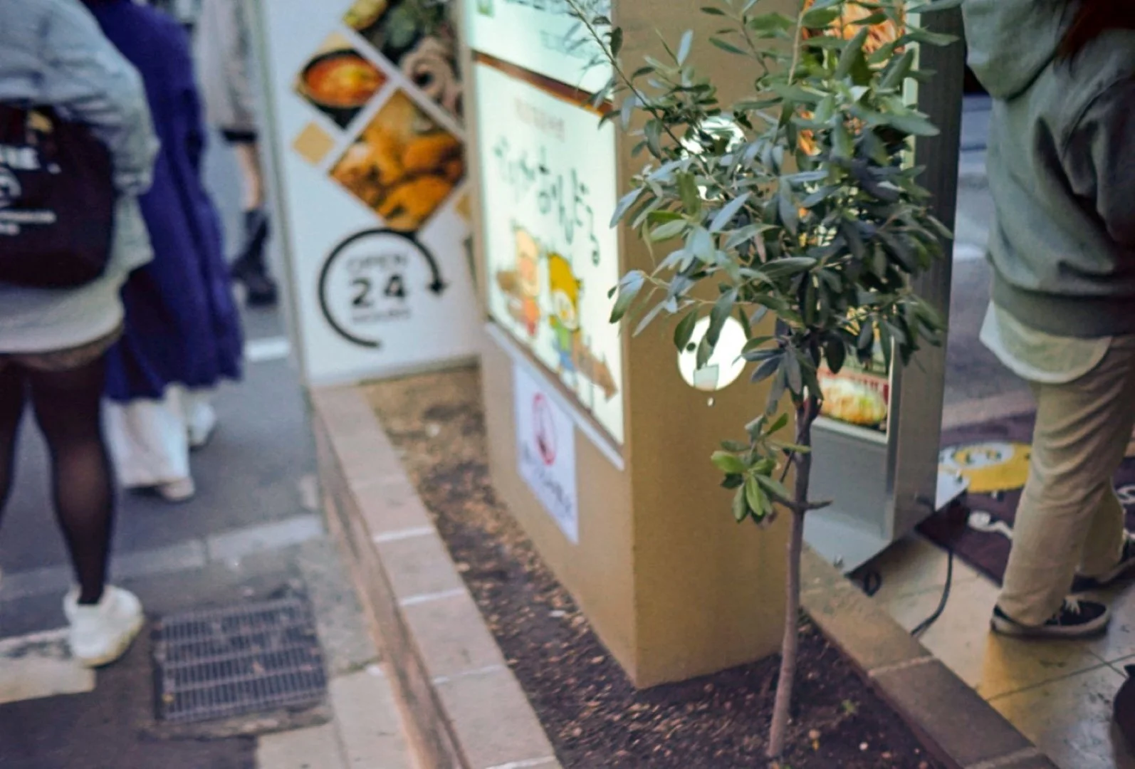 KOBICA 35 BC-1で撮影した写真