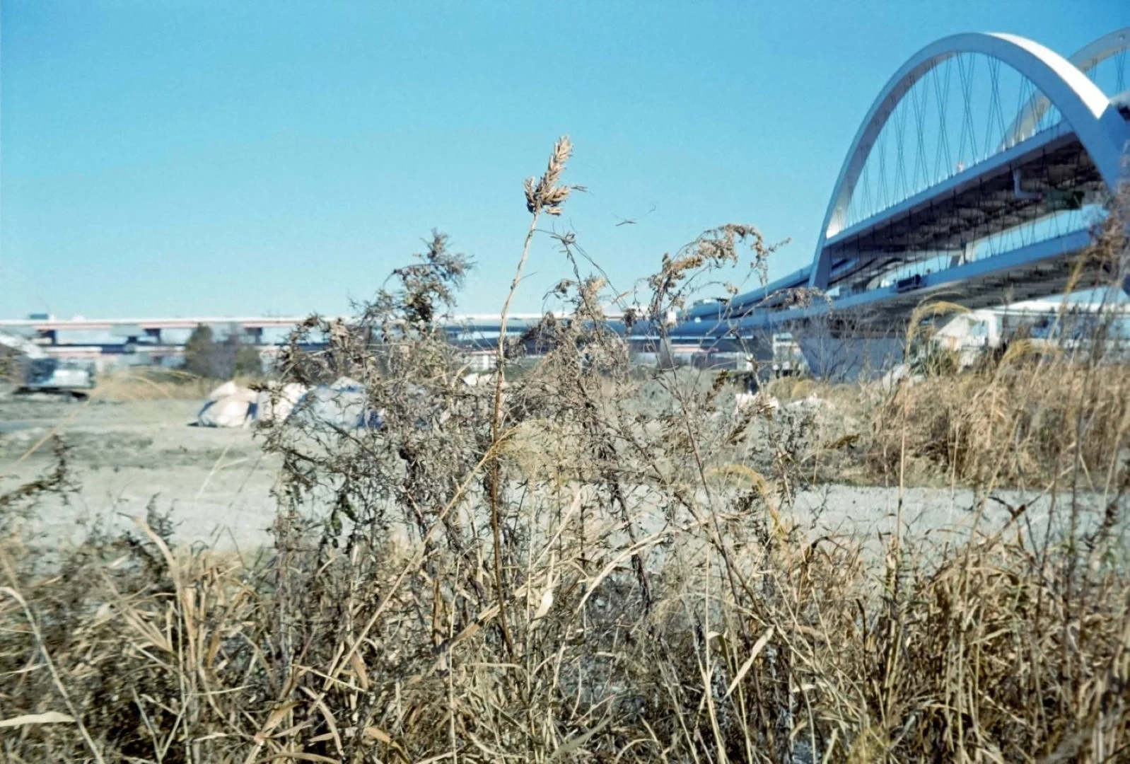 KOBICA 35 BC-1で撮影した写真