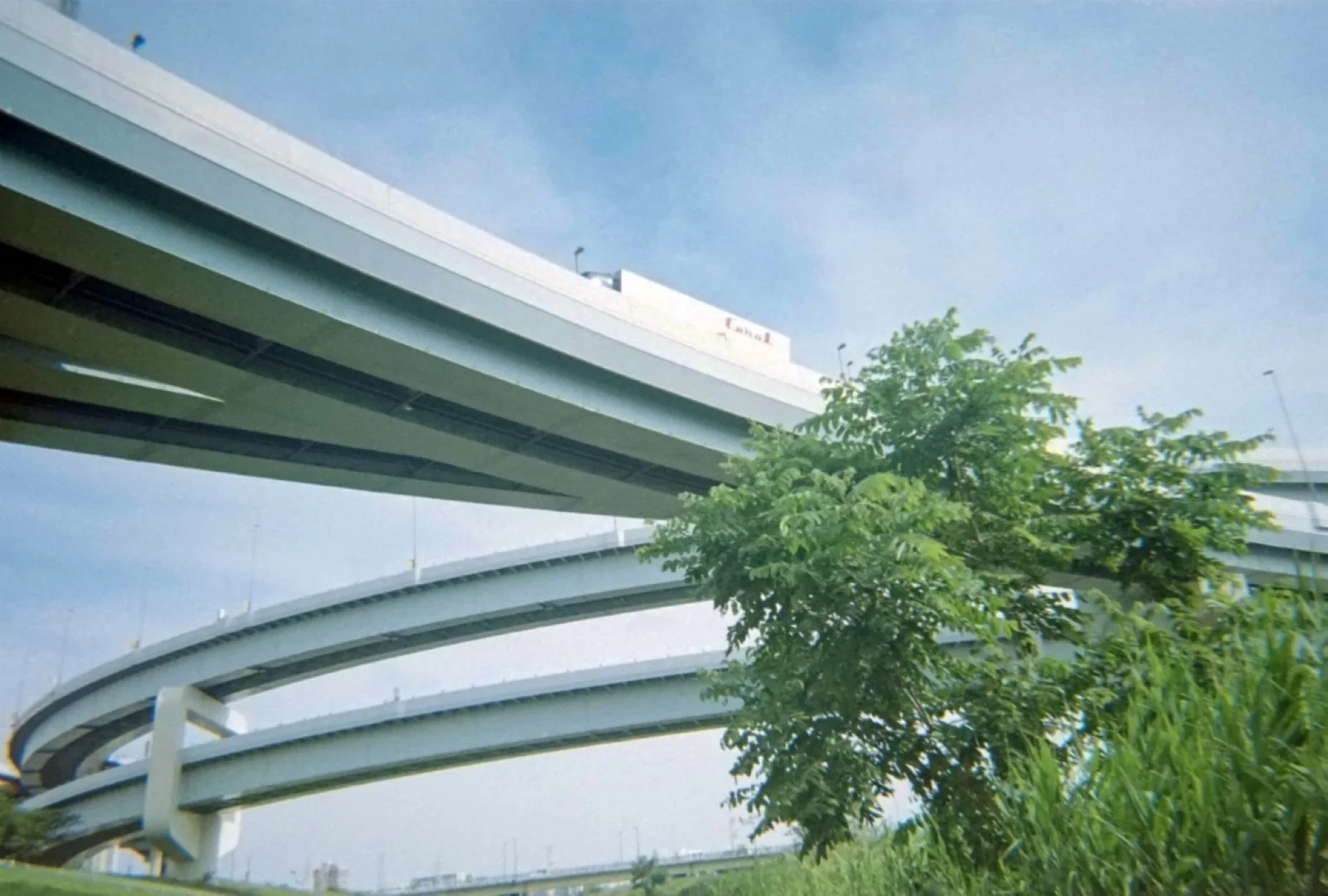 Kodak M35で撮った写真