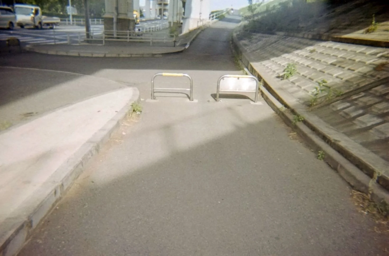 Kodak M35で撮った写真