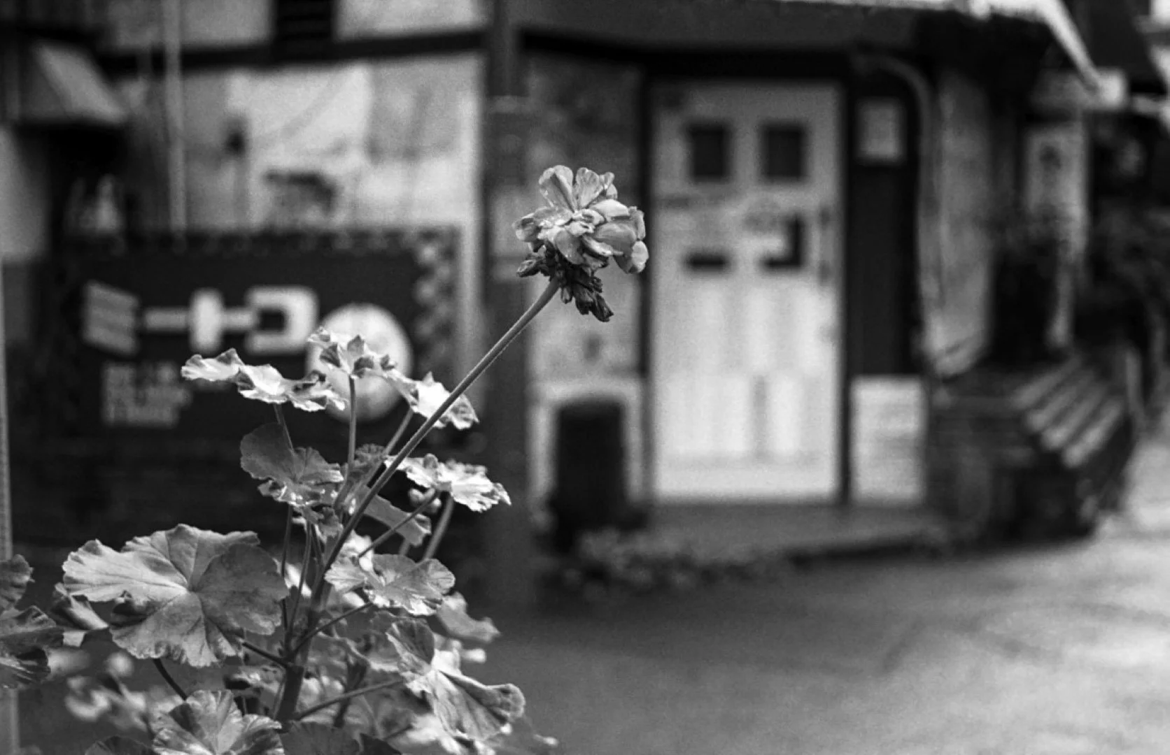 Konica 1型で撮影した写真