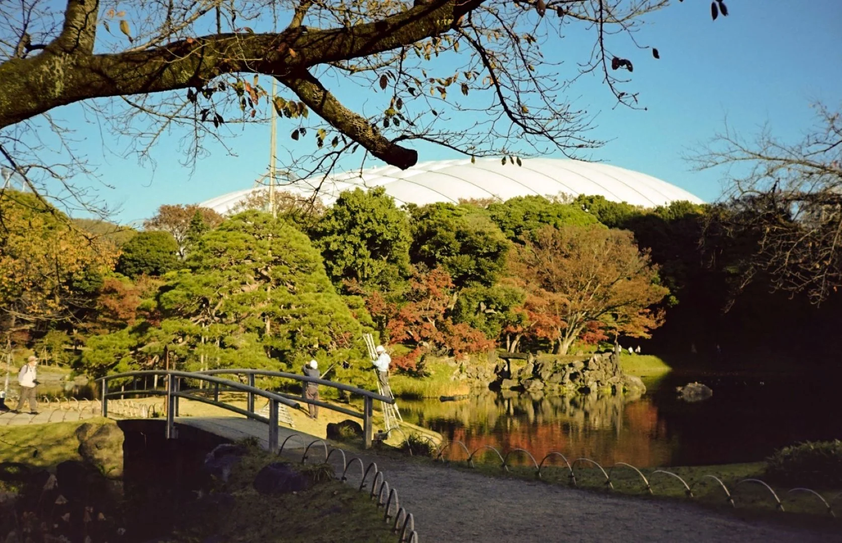 KONICA C35 撮影した写真