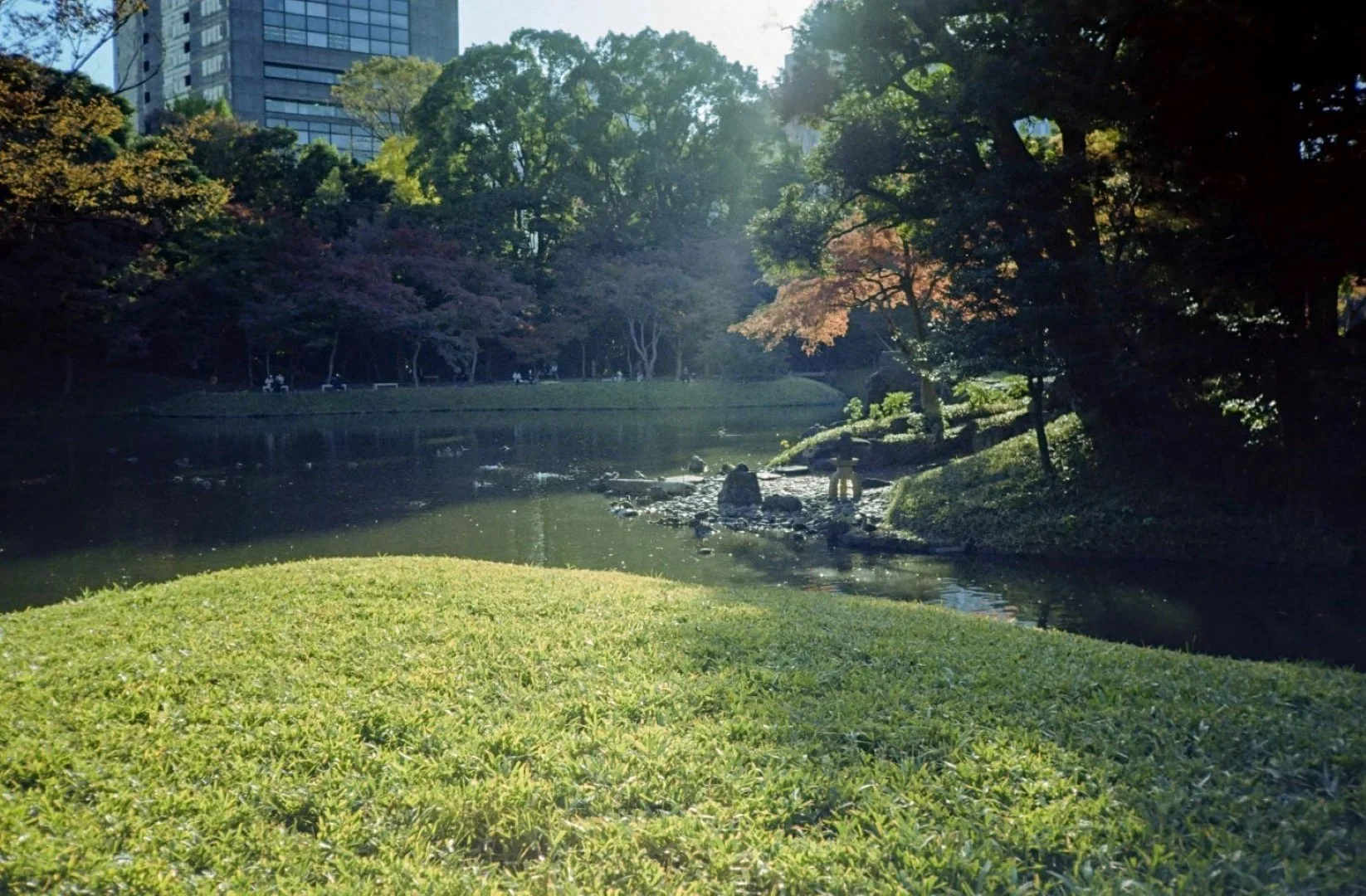 KONICA C35 撮影した写真