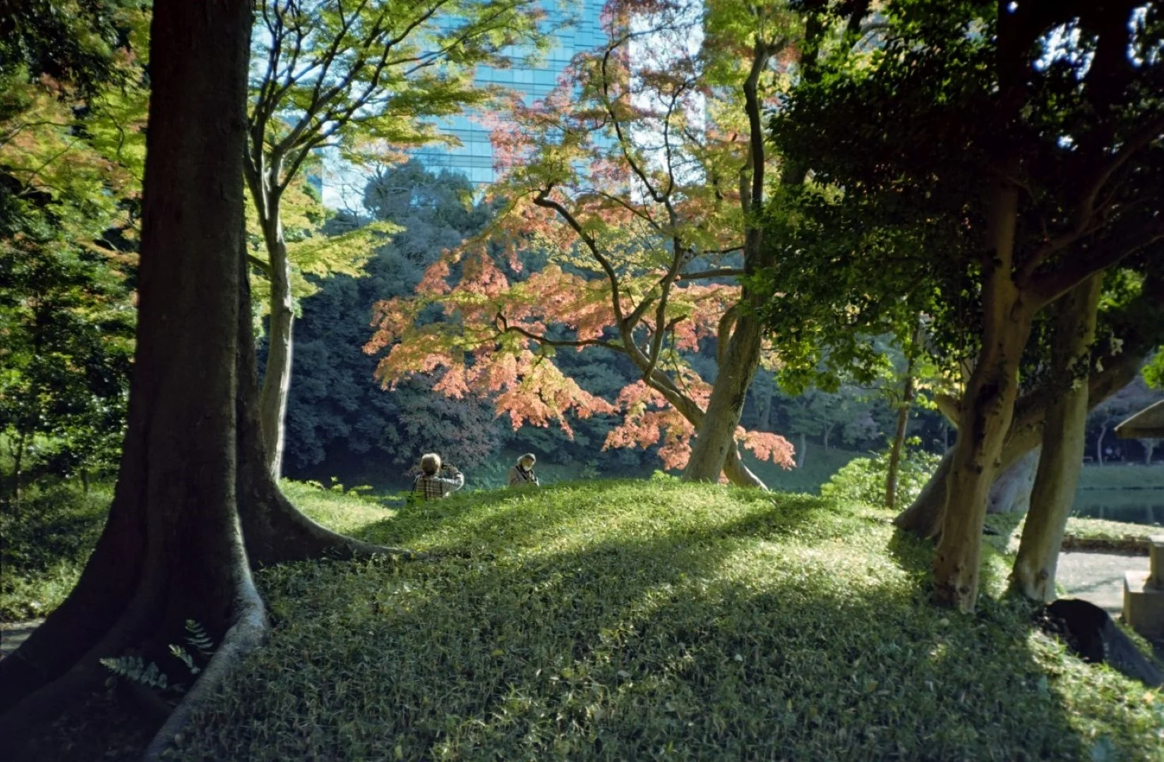 KONICA C35 撮影した写真