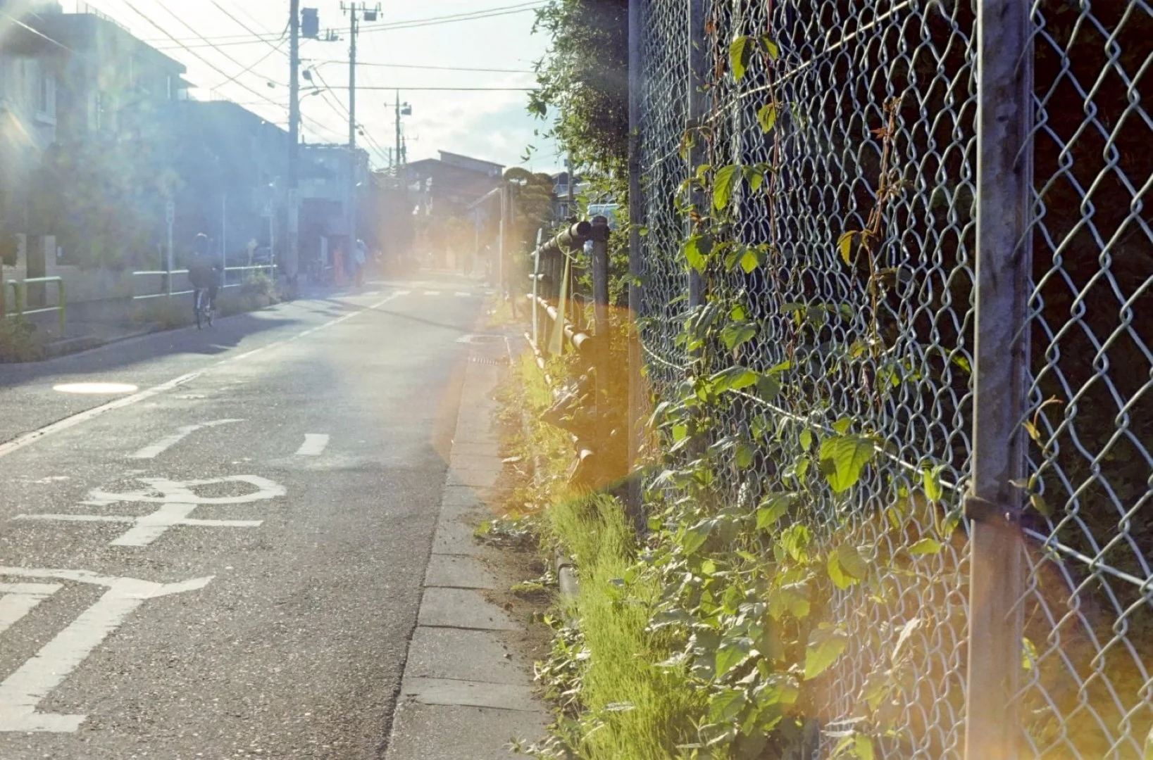 コニカSIIで撮った写真