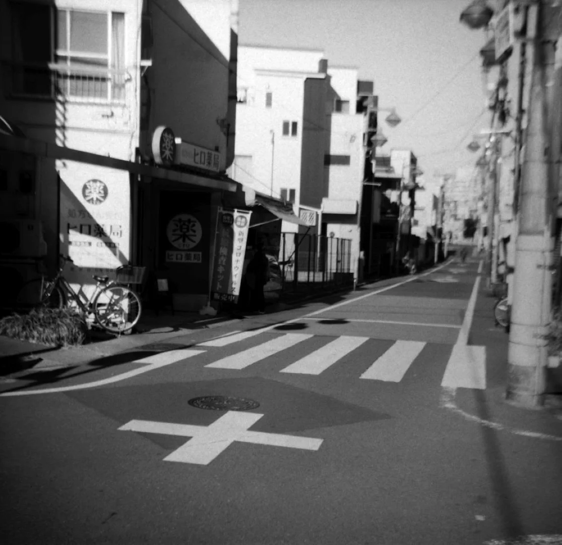 ライラシックスIII型 作例