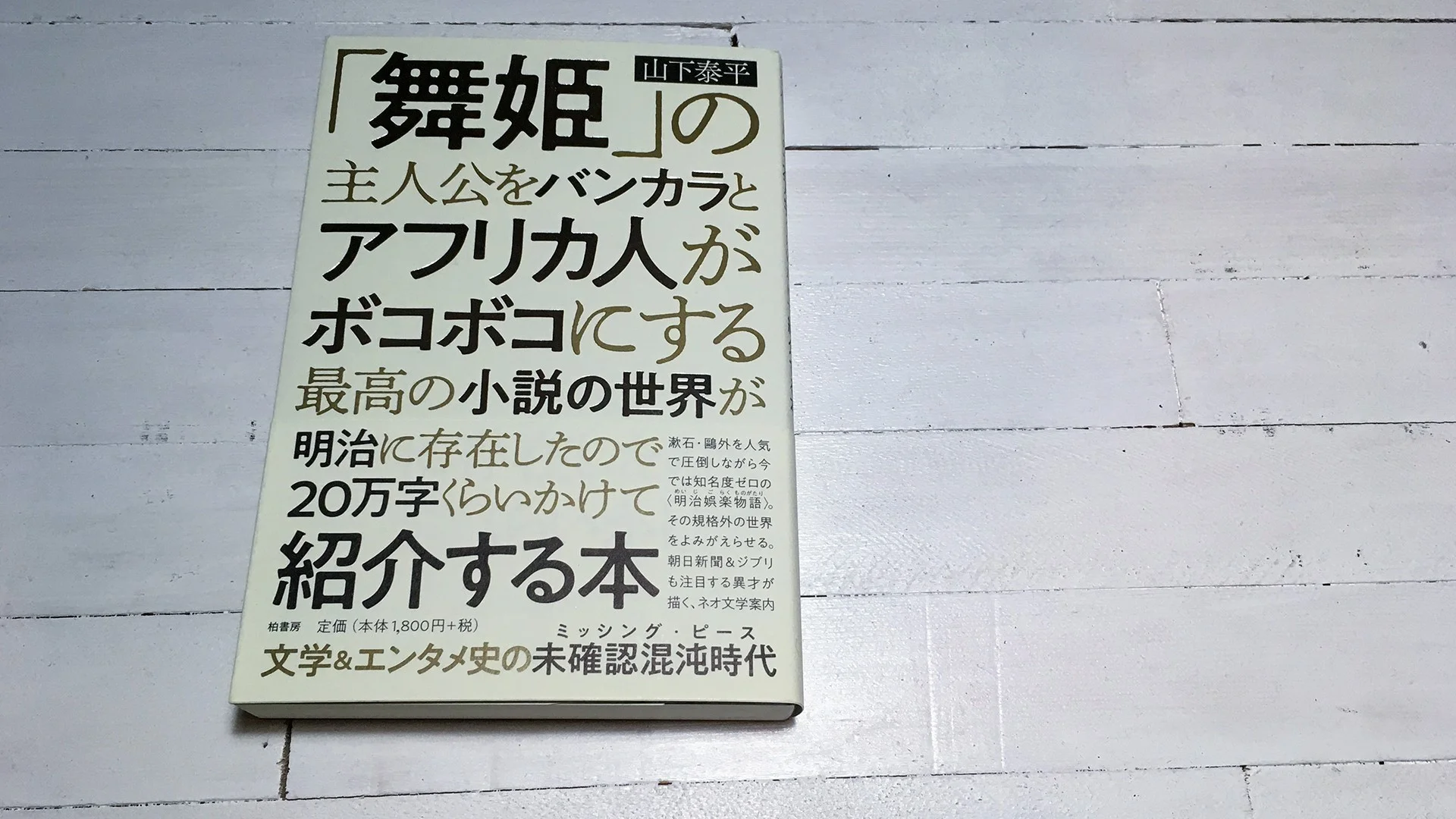 「舞姫」の主人公をバンカラとアフリカ人がボコボコにする最高の小説の世界が明治に存在したので20万字くらいかけて紹介する本