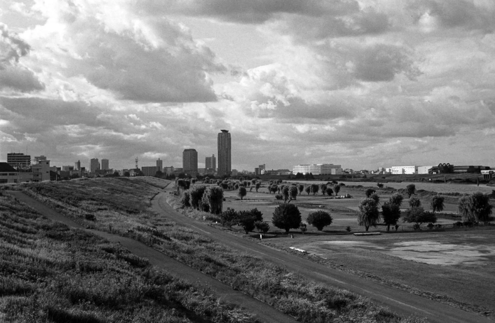 Mamiya 35 Auto Deluxe 2で撮った写真