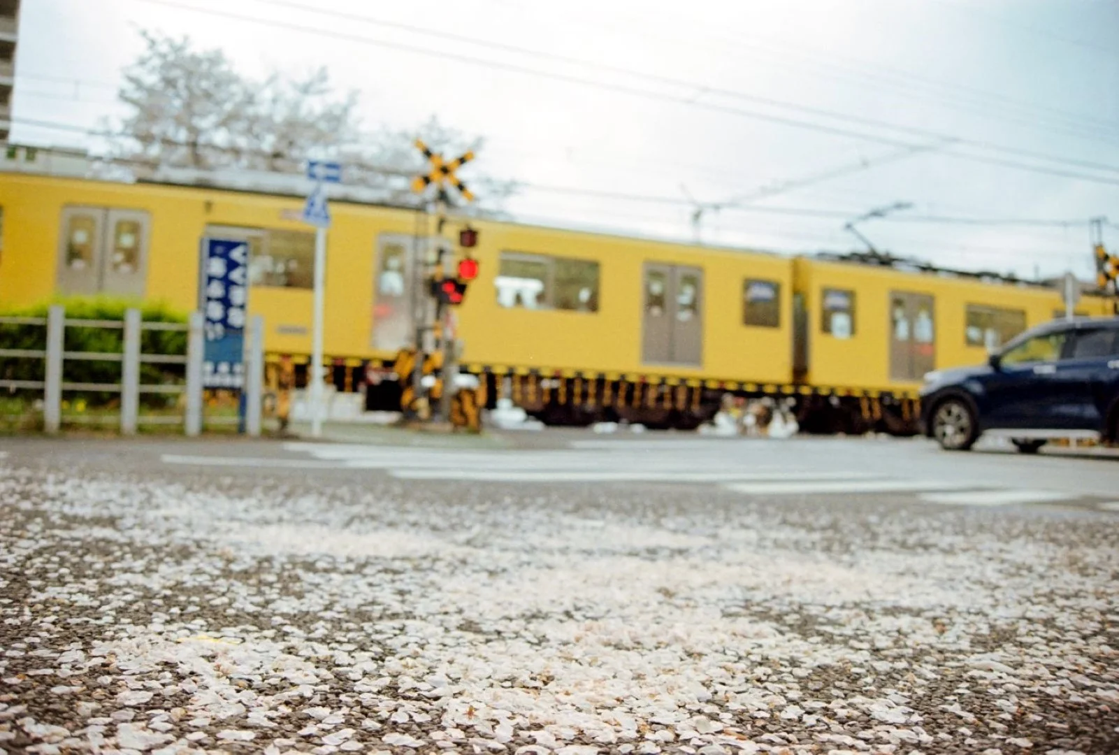 ミノルタα-7000の作例