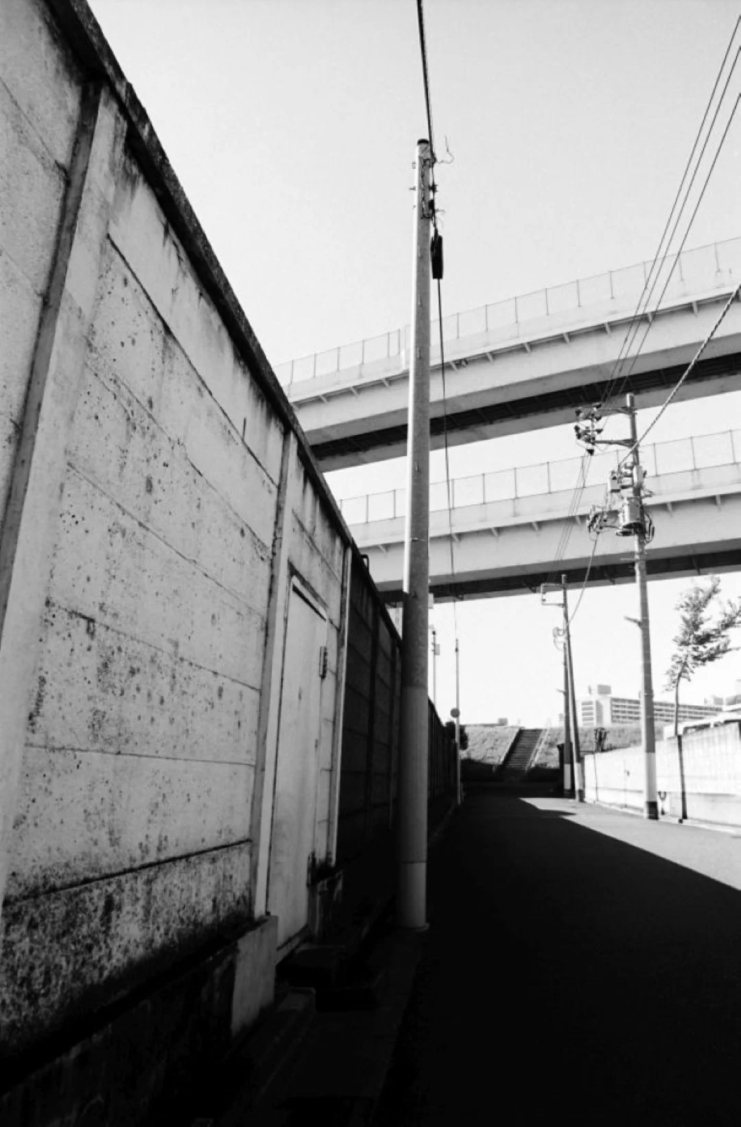 ミノルタα-7700iで撮影した写真