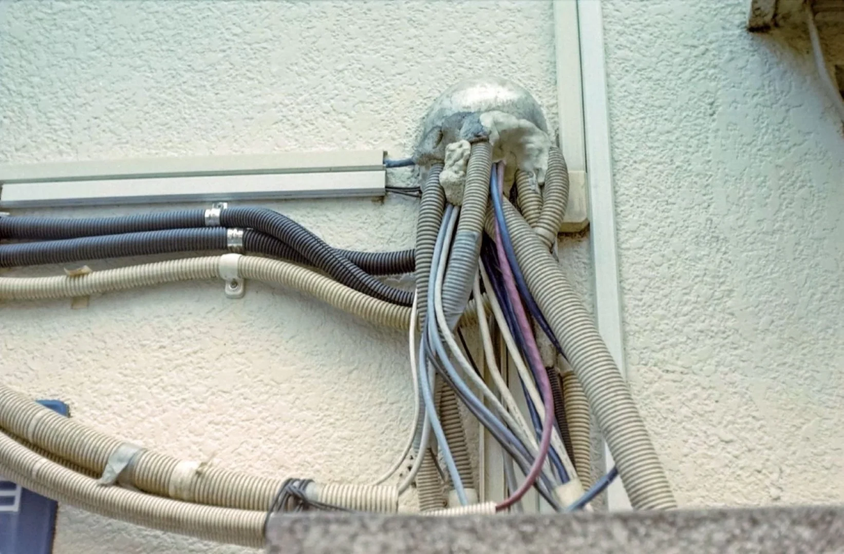 PRAKTICA MTL5Bで撮った写真