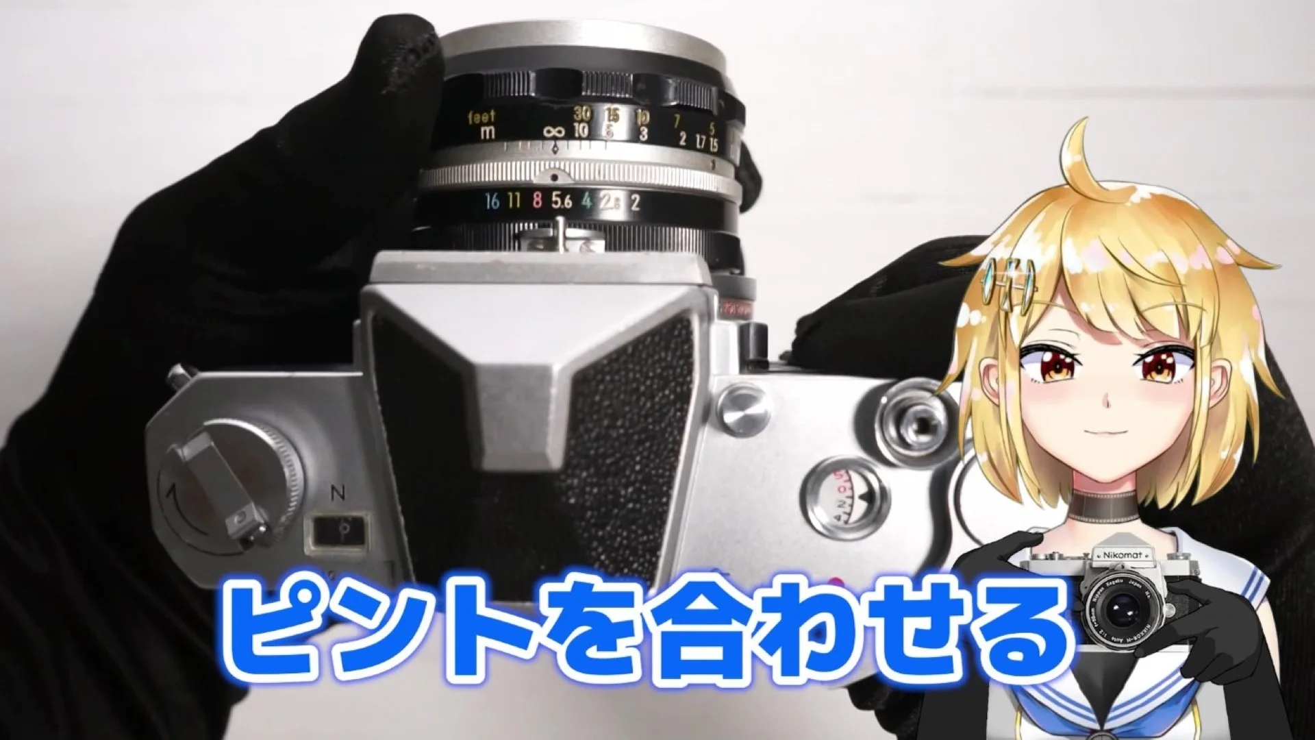 ピントを合わせる