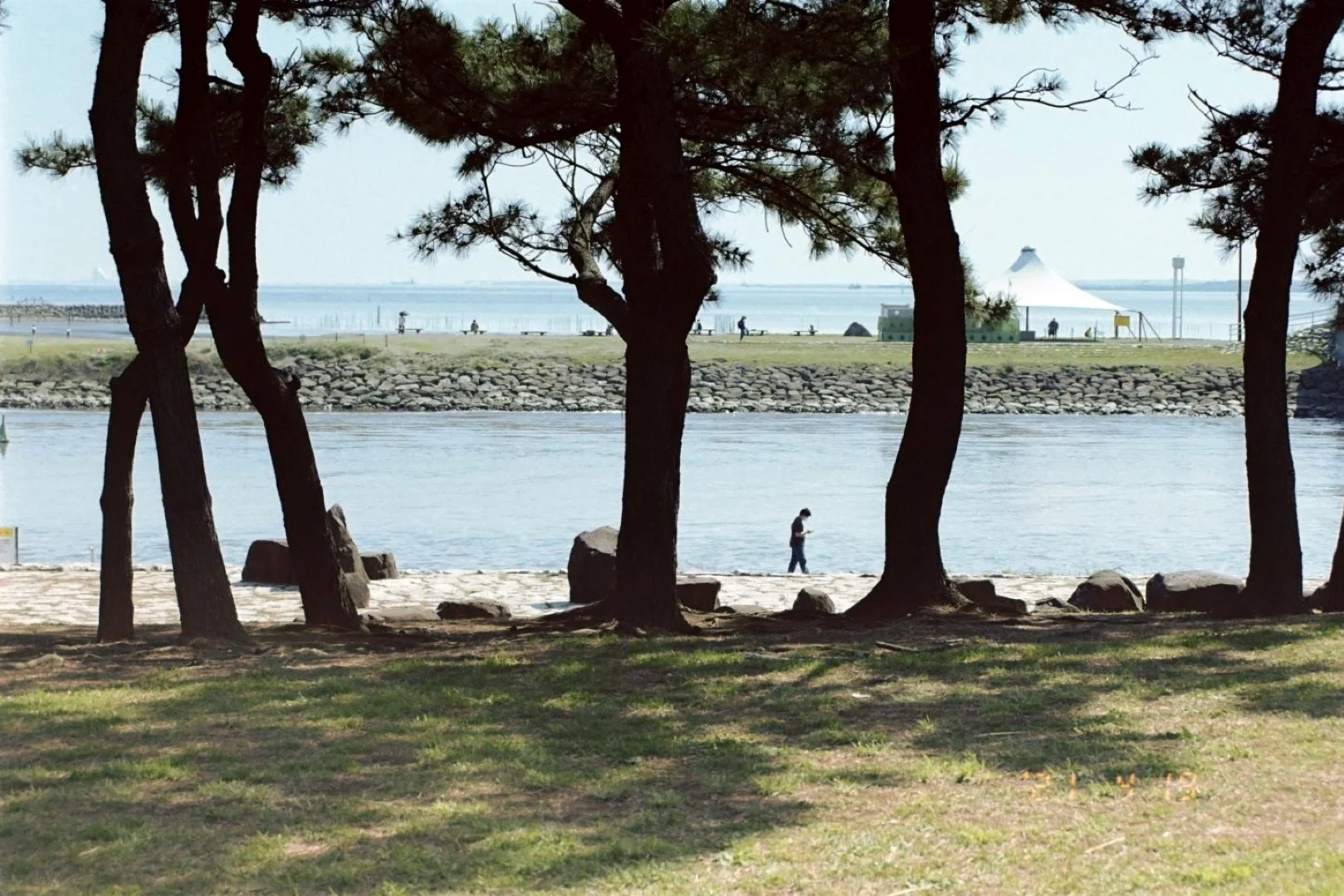 フィルムカメラ Nikon Uで同じレンズで撮影