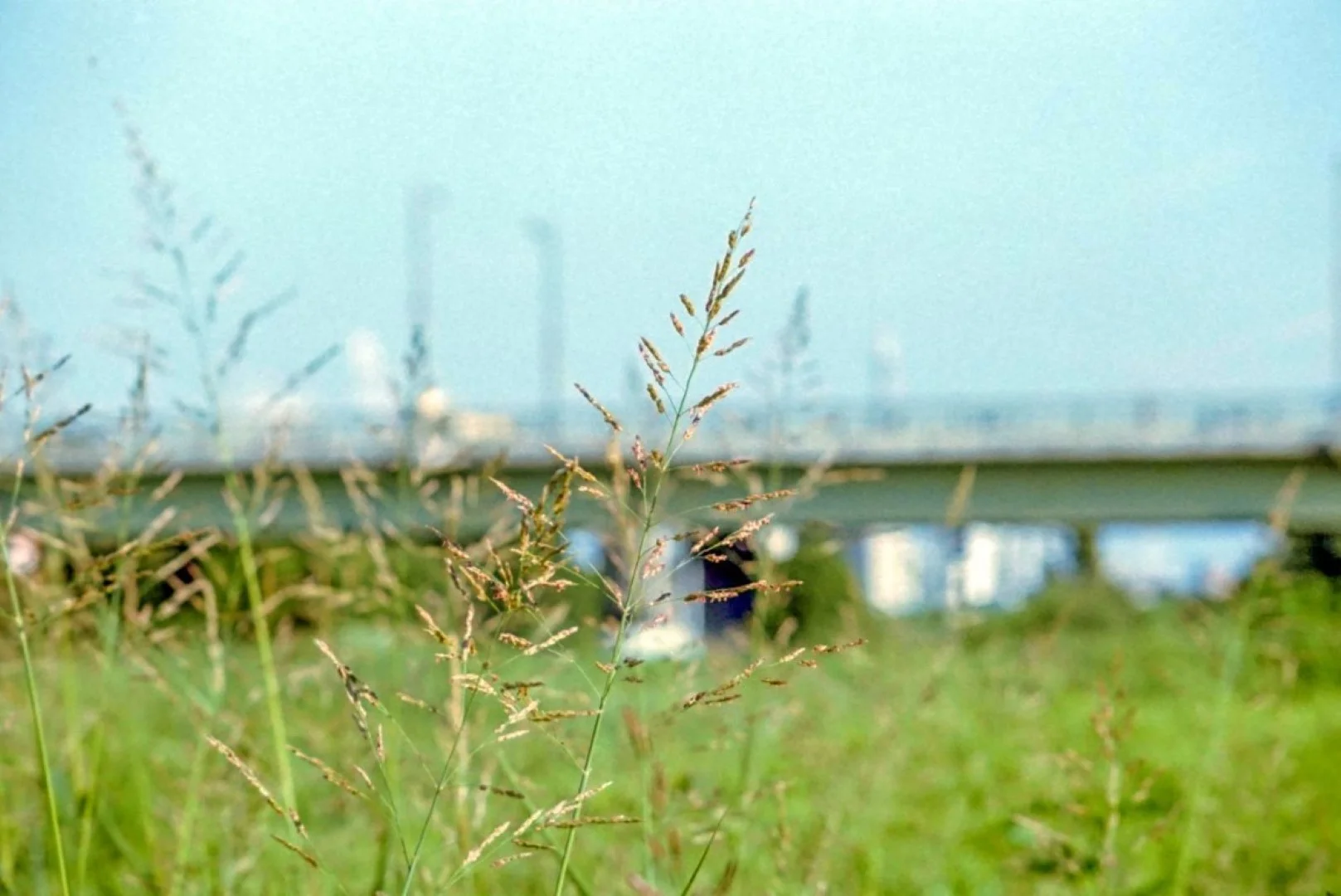 OLYMPUS L-1で撮った写真