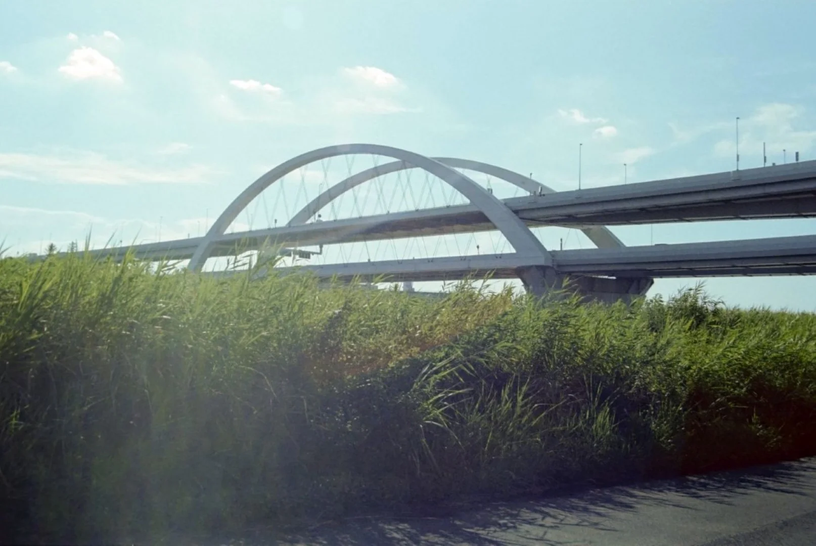 OLYMPUS L-1で撮った写真