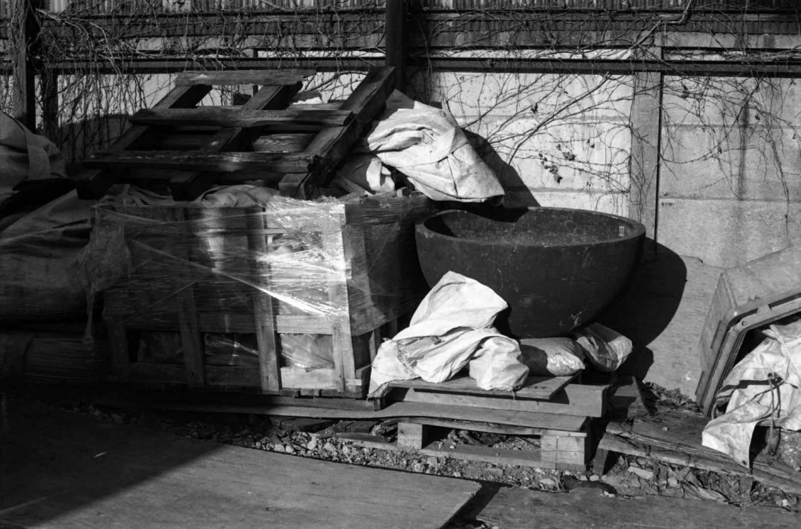 オリンパスOM-1作例