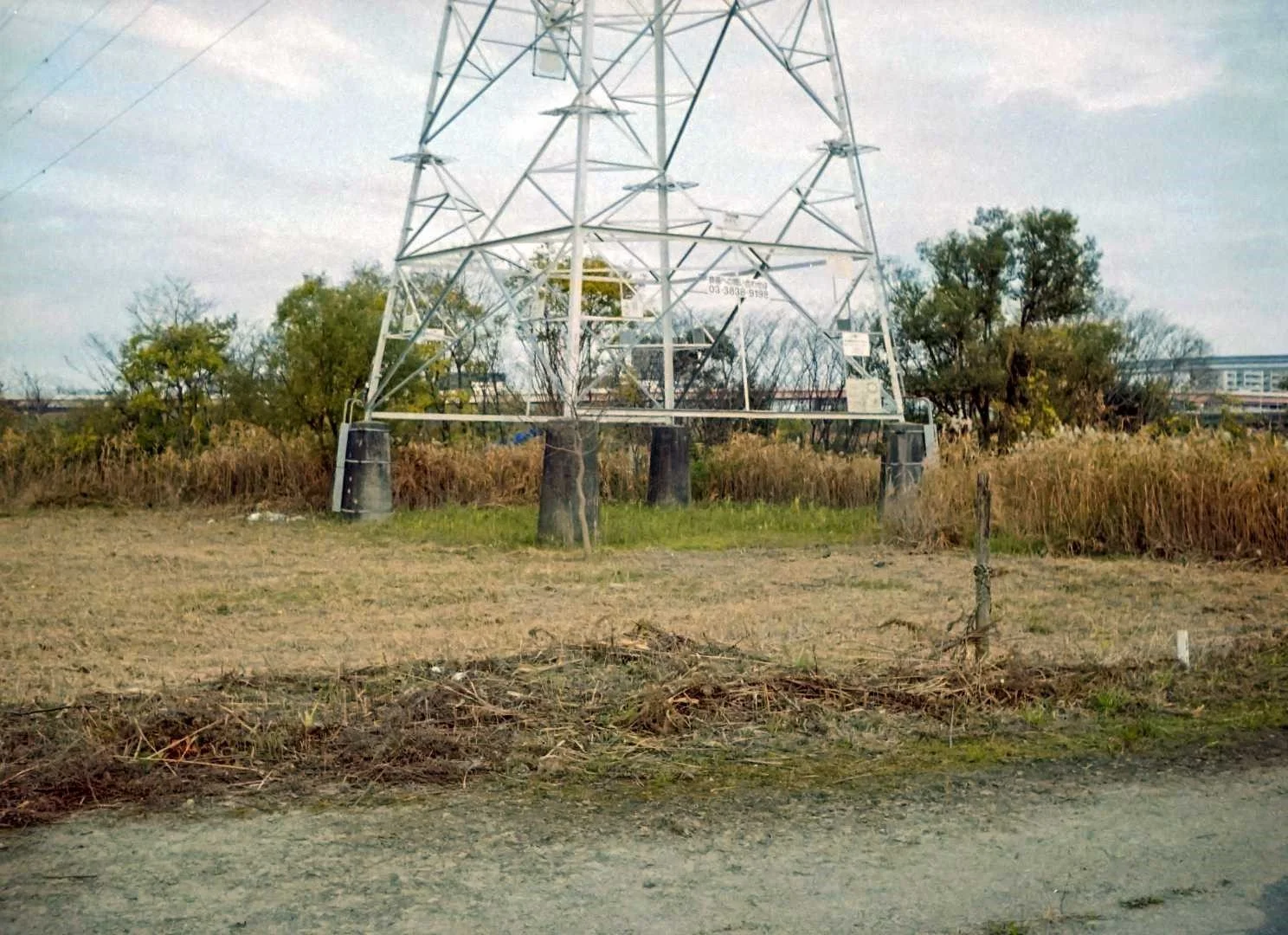 オリンパスペンS作例