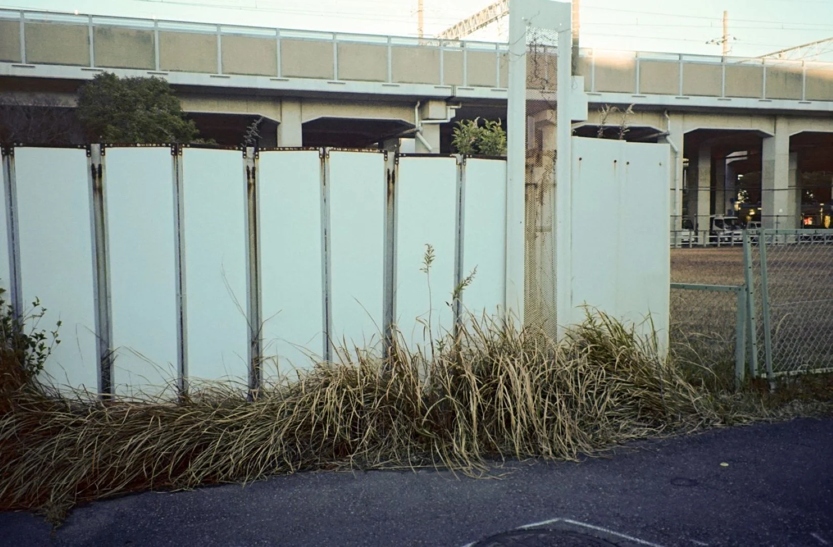 PENTAX ZOOM-70DATEで撮影した写真