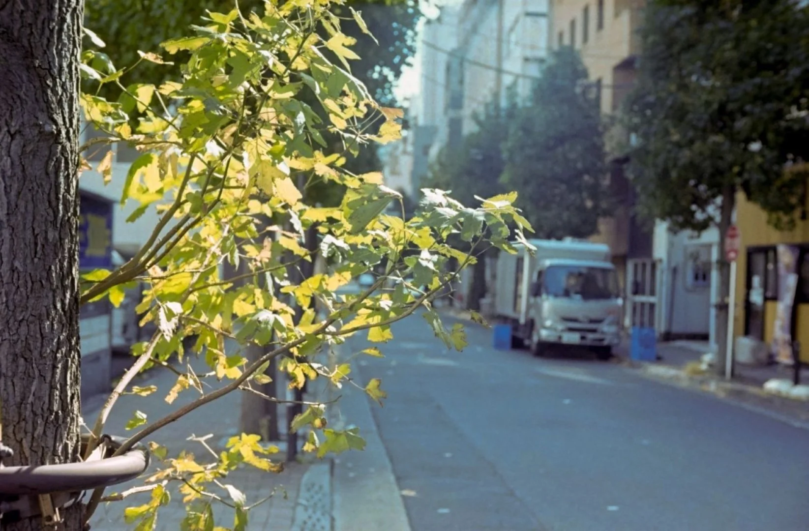 ペトリ プロ7作例