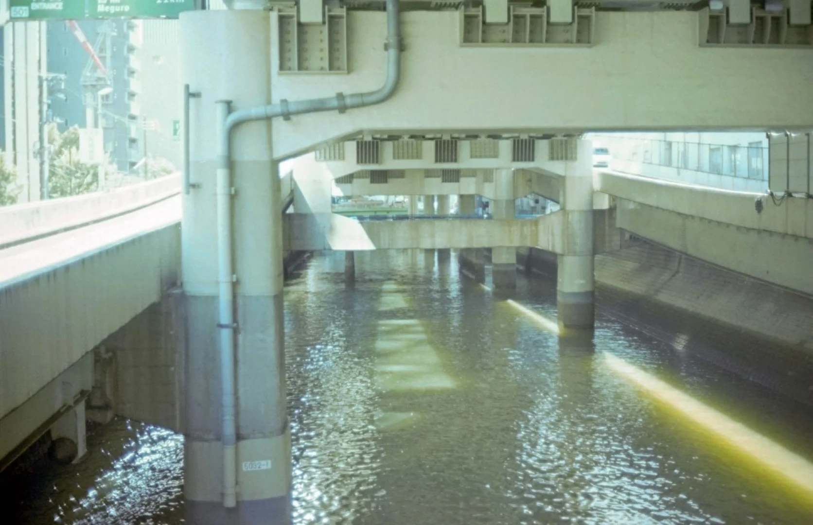 ペトリ プロ7作例