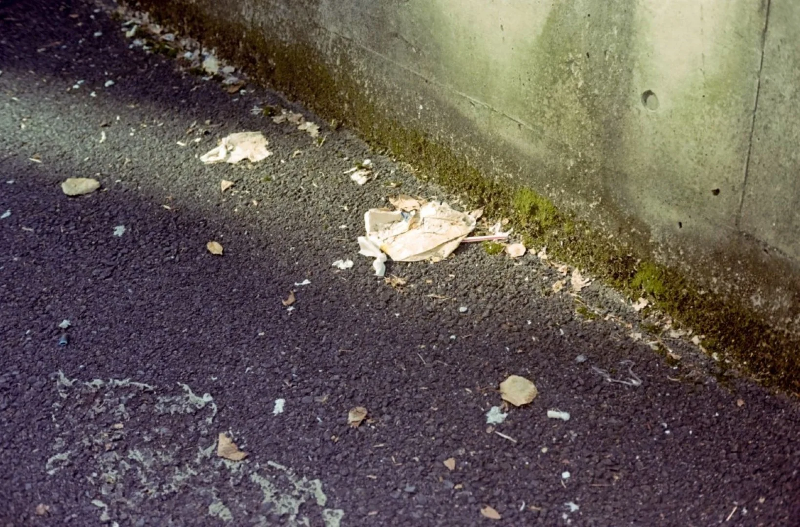 ペトリ プロ7作例