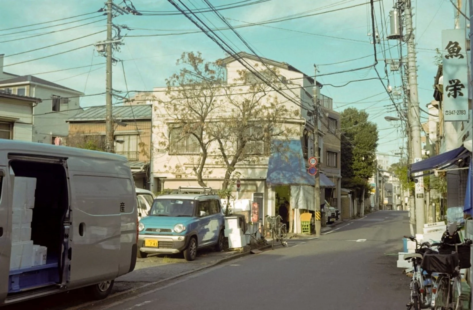 ペトリ プロ7作例