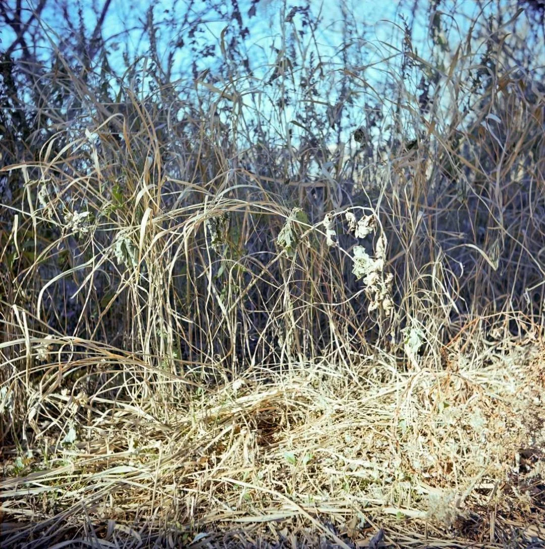 プリモフレックス4Aの作例