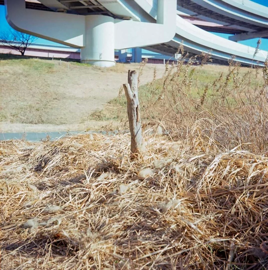 プリモフレックス4Aの作例