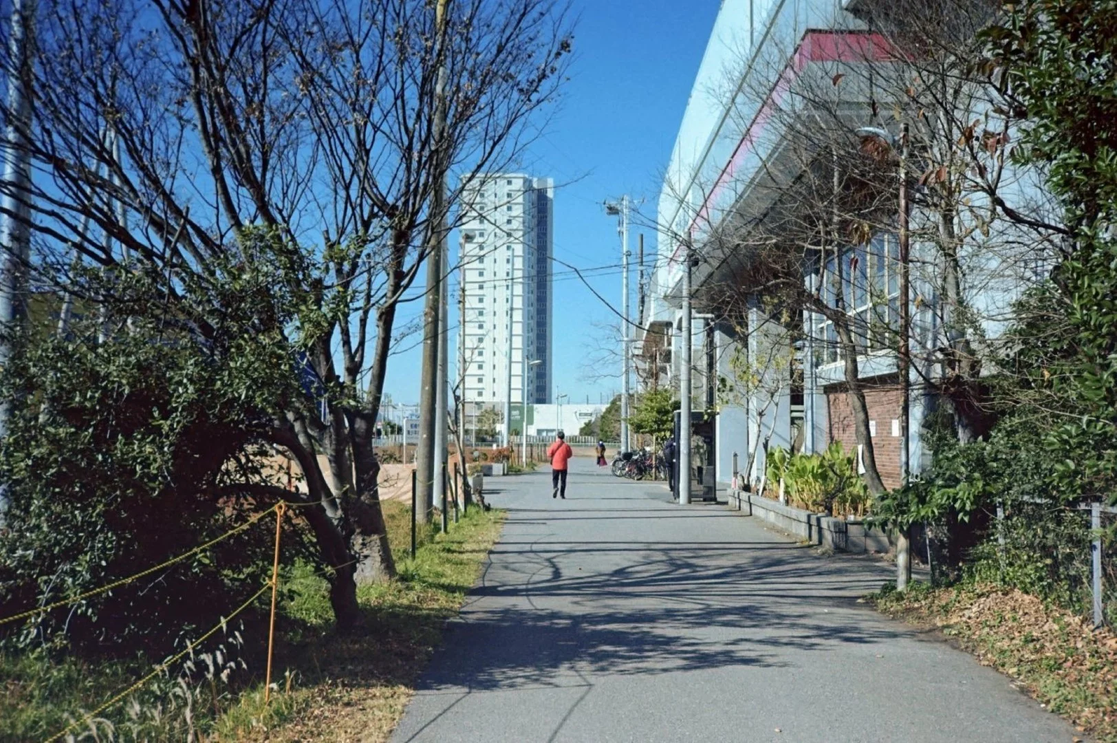 Rollei Flash 35 AFで撮った写真