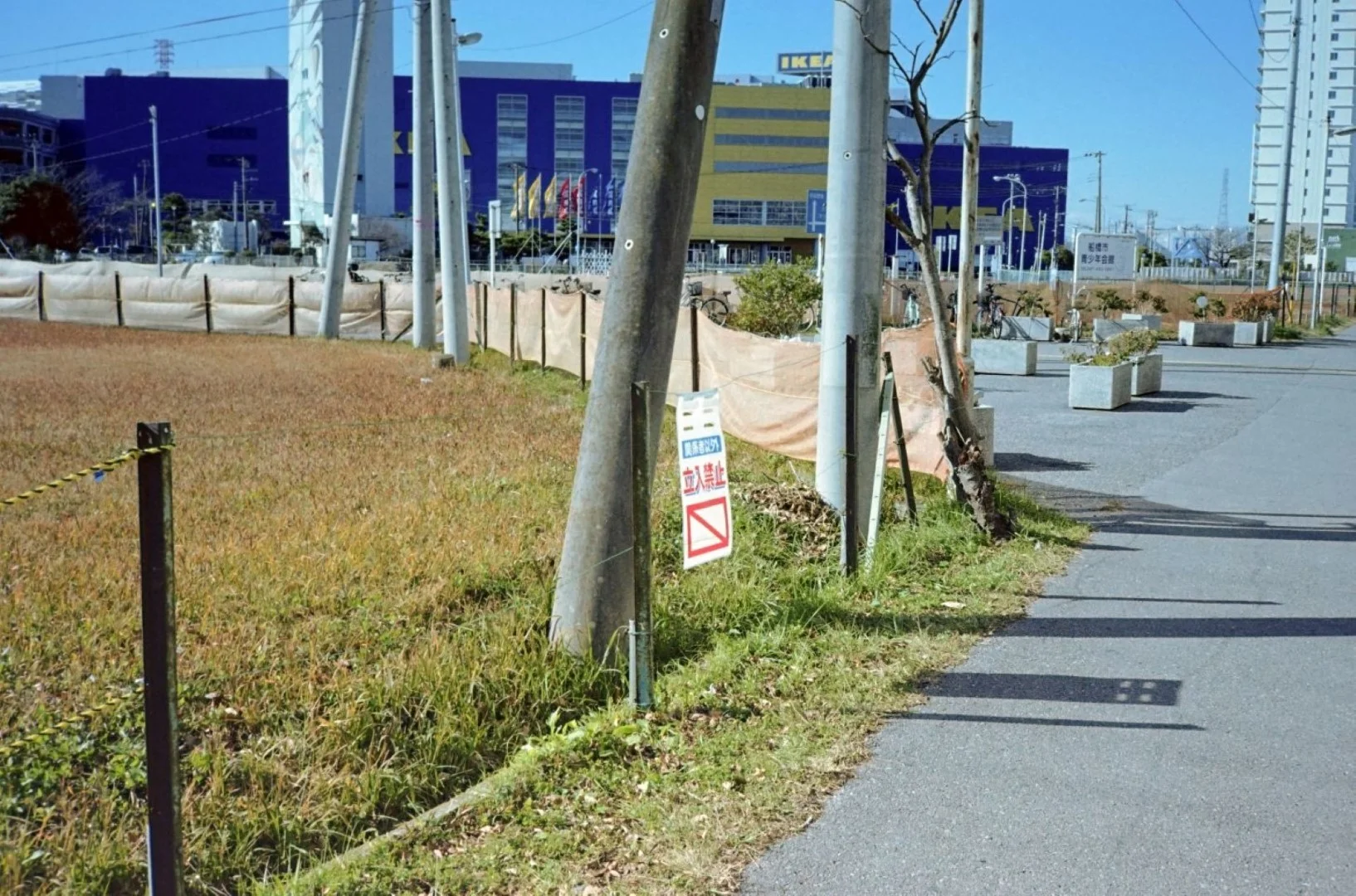 Rollei Flash 35 AFで撮った写真