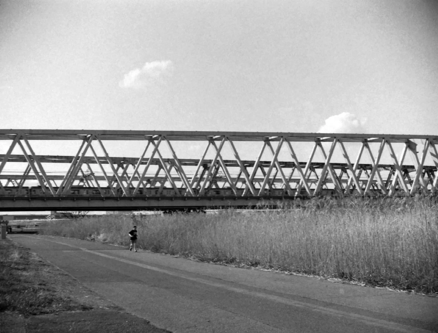 セミライラ改 作例