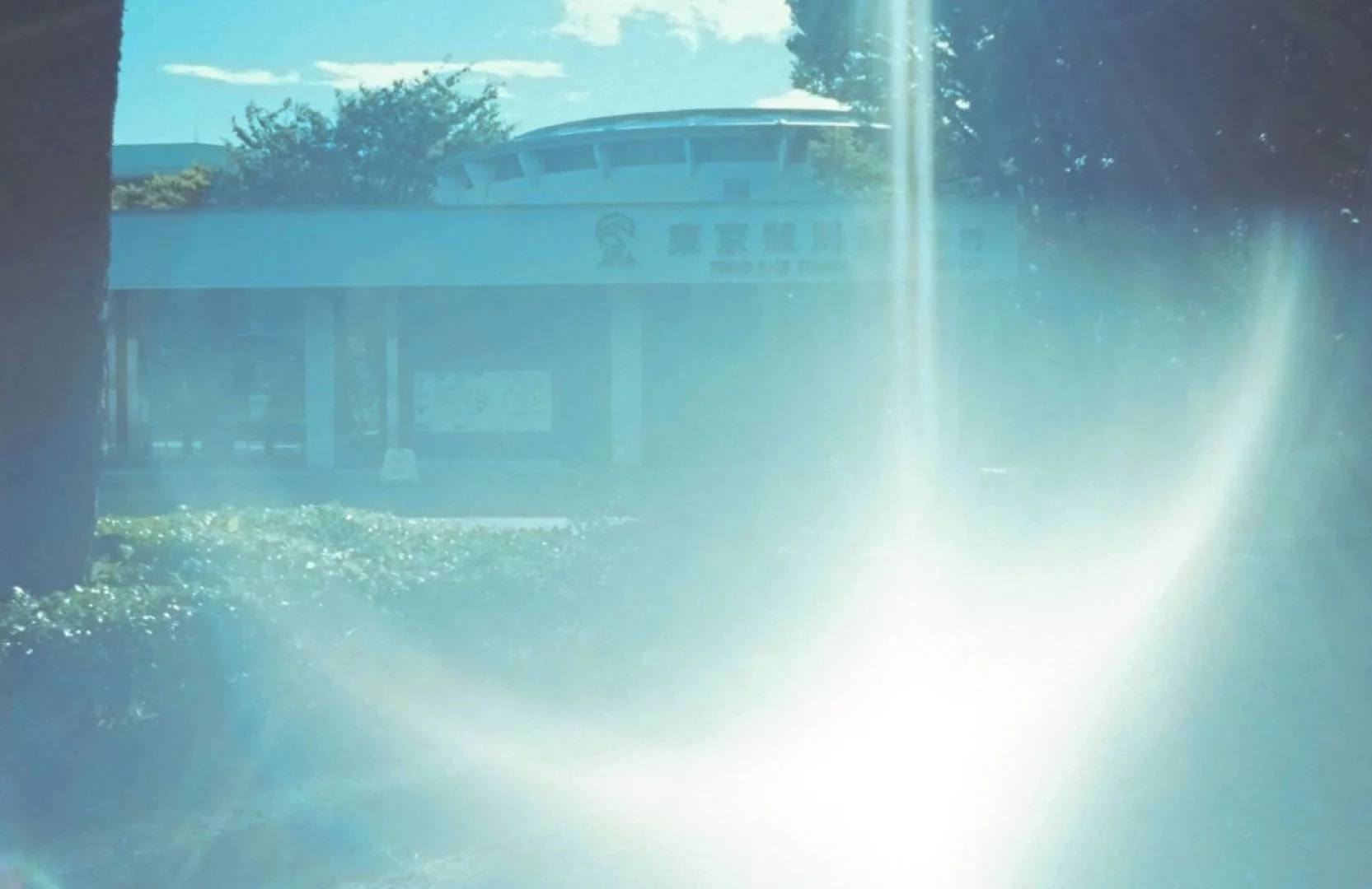 スメナ35で撮った写真