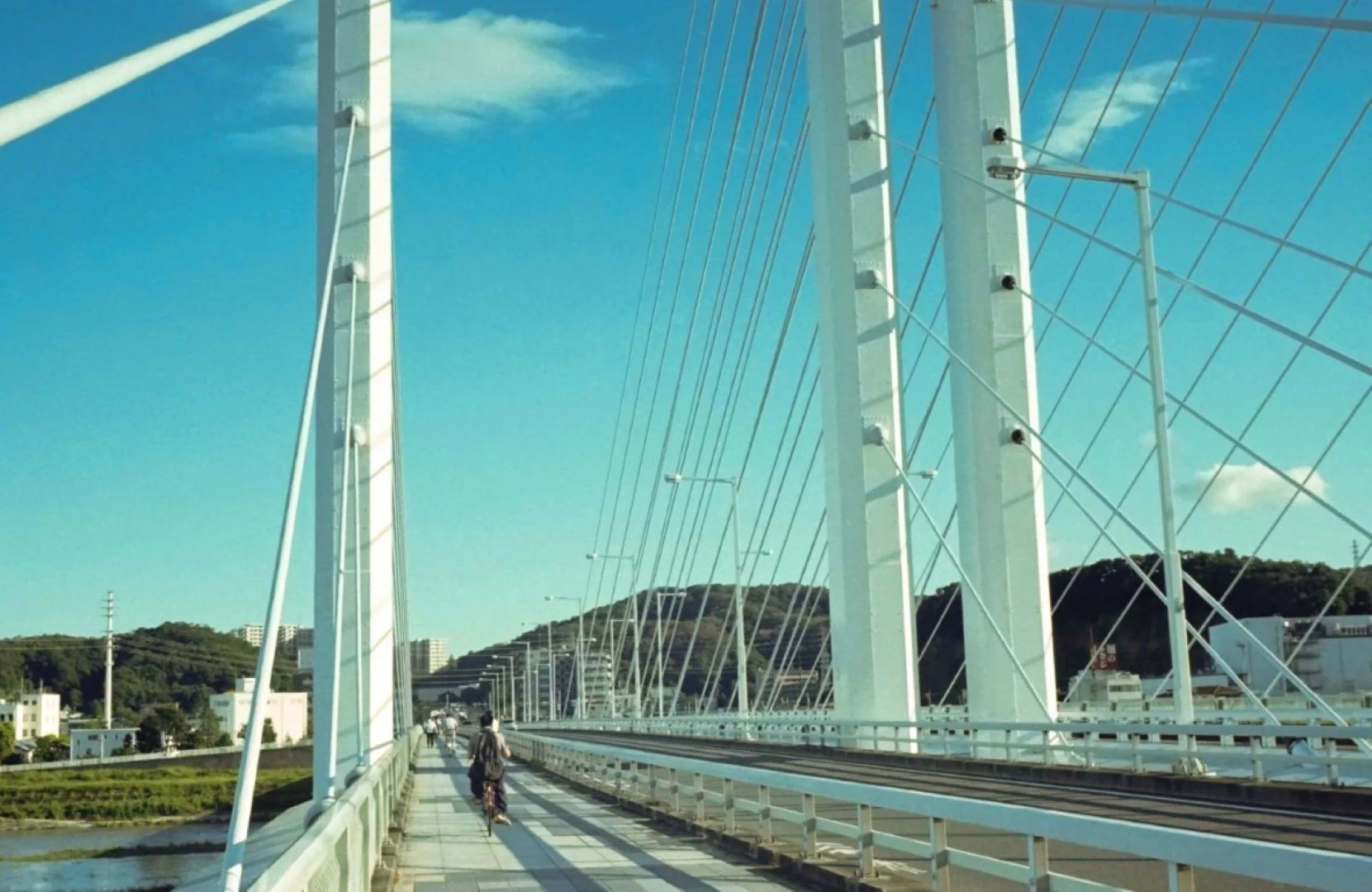 スメナ35で撮った写真