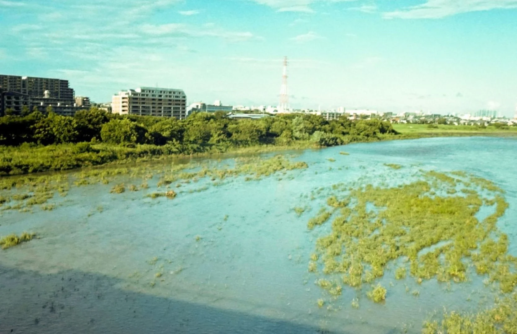 スメナ35で撮った写真