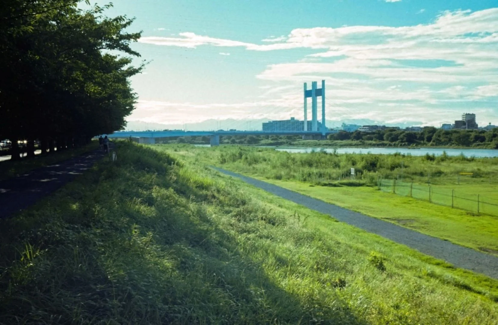 スメナ35で撮った写真