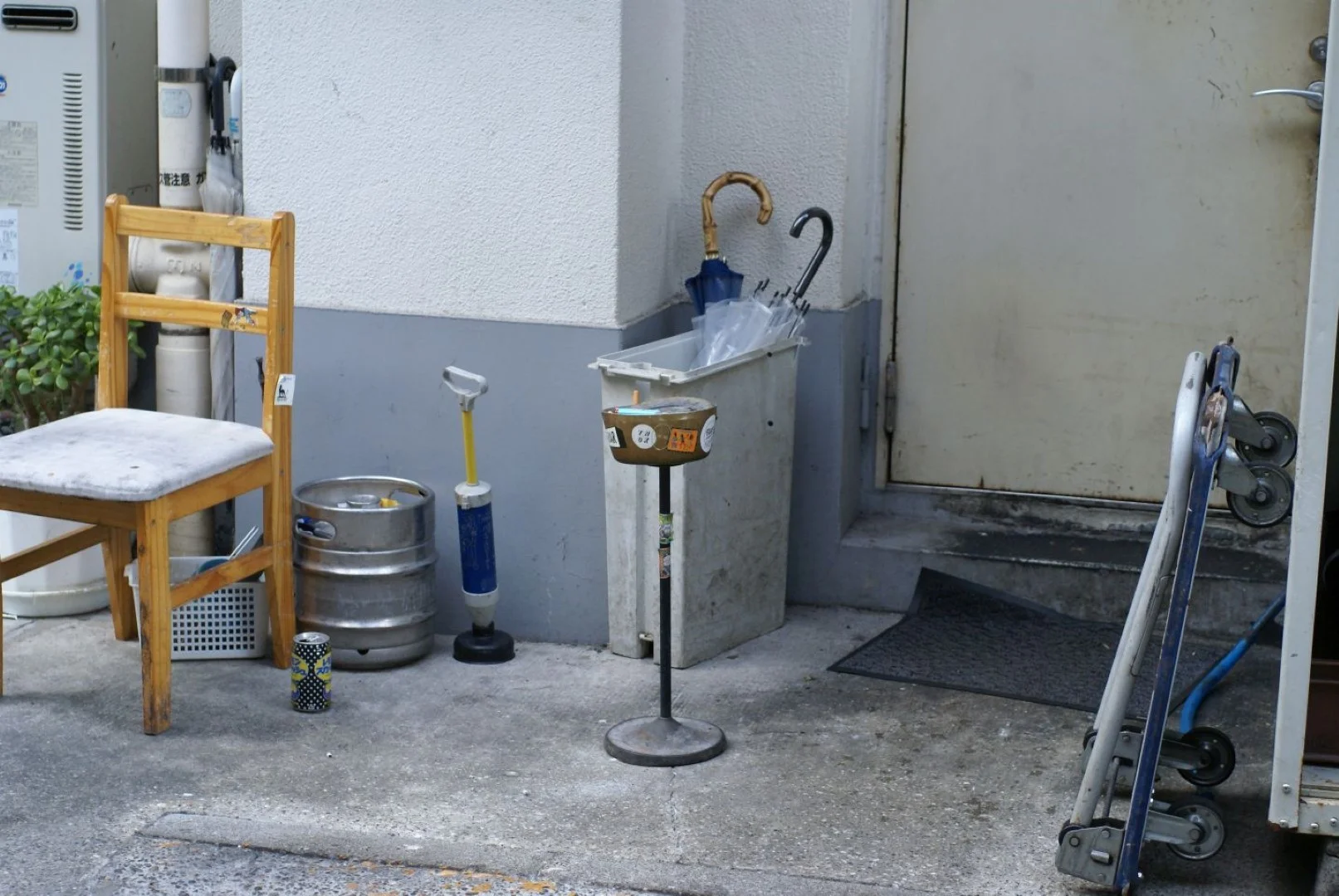 SONY α100とMINOLTA AF MACRO 50mm F2.8 作例