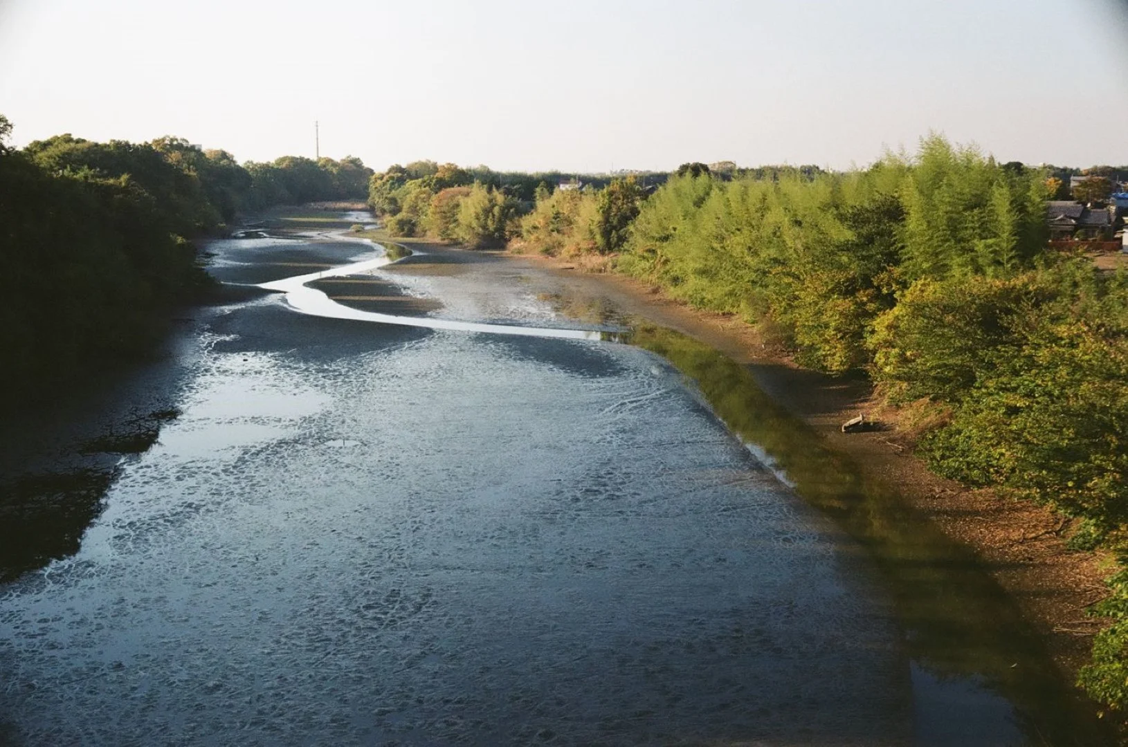 SUPER ROKKOR 45mm F2.8追加作例(ボディはZorki-1)